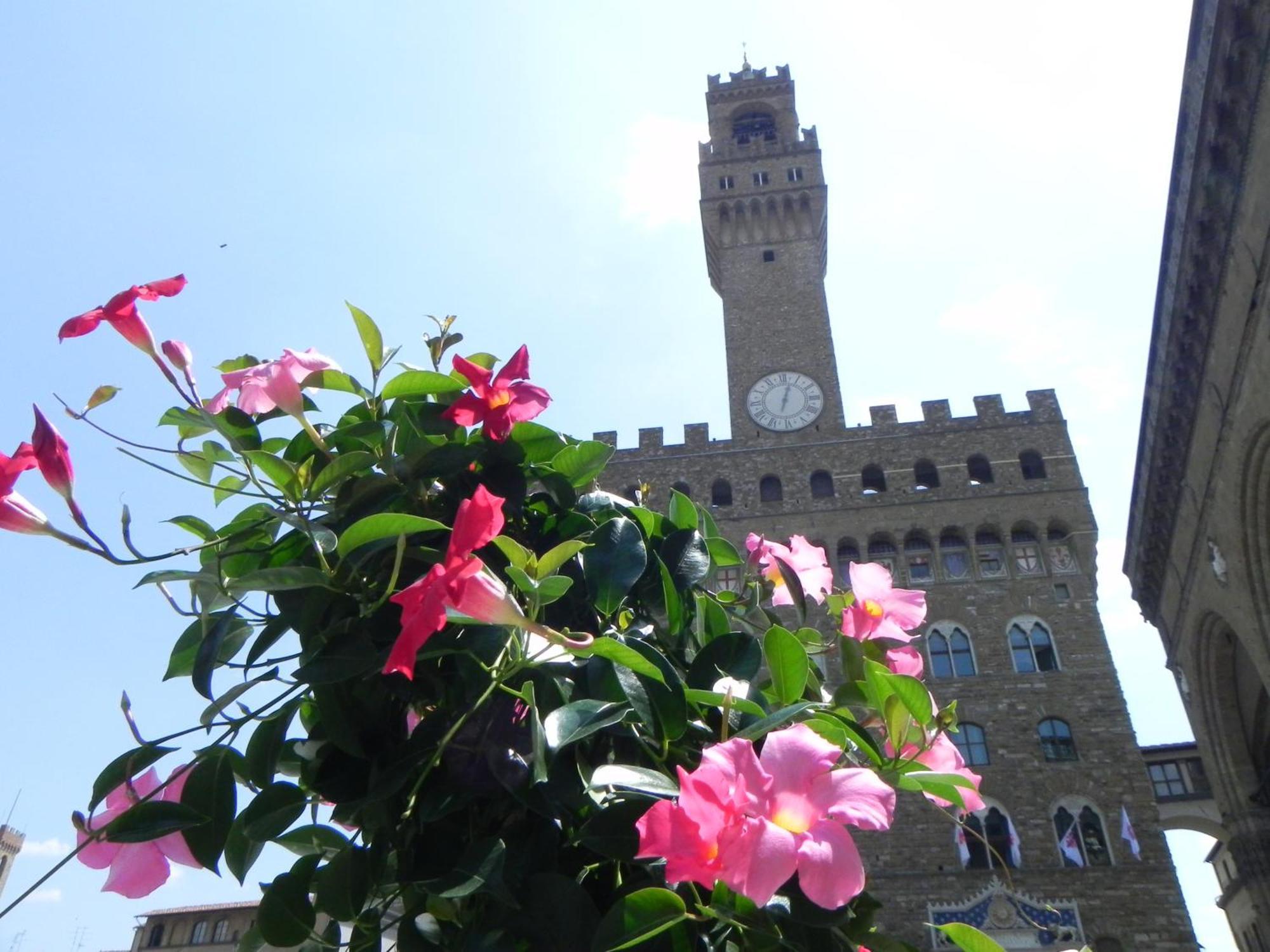 Apartamento Monolocale Gallo Florencia